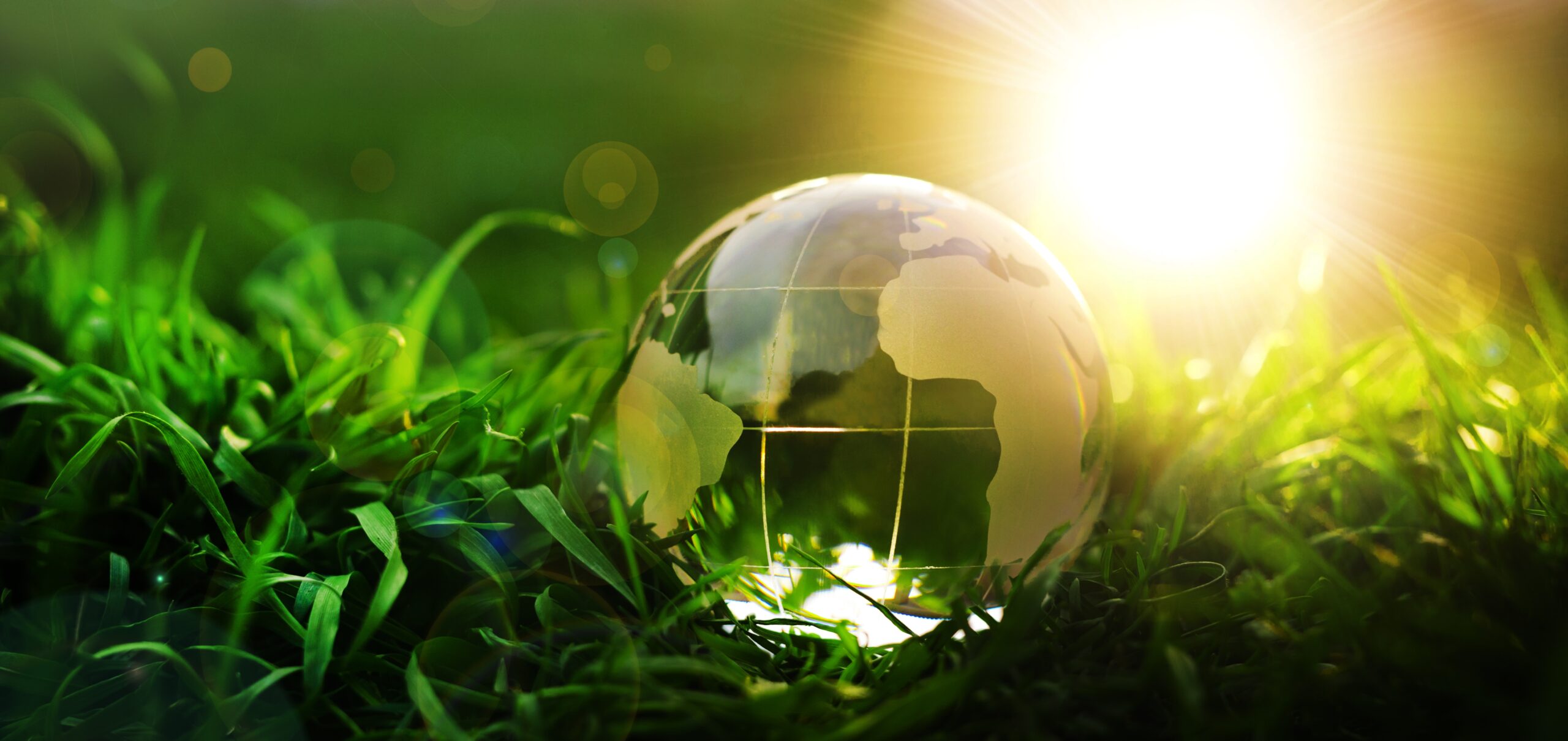 A glass globe resting on vibrant green grass under a bright sun, symbolizing sustainability and environmental consciousness.